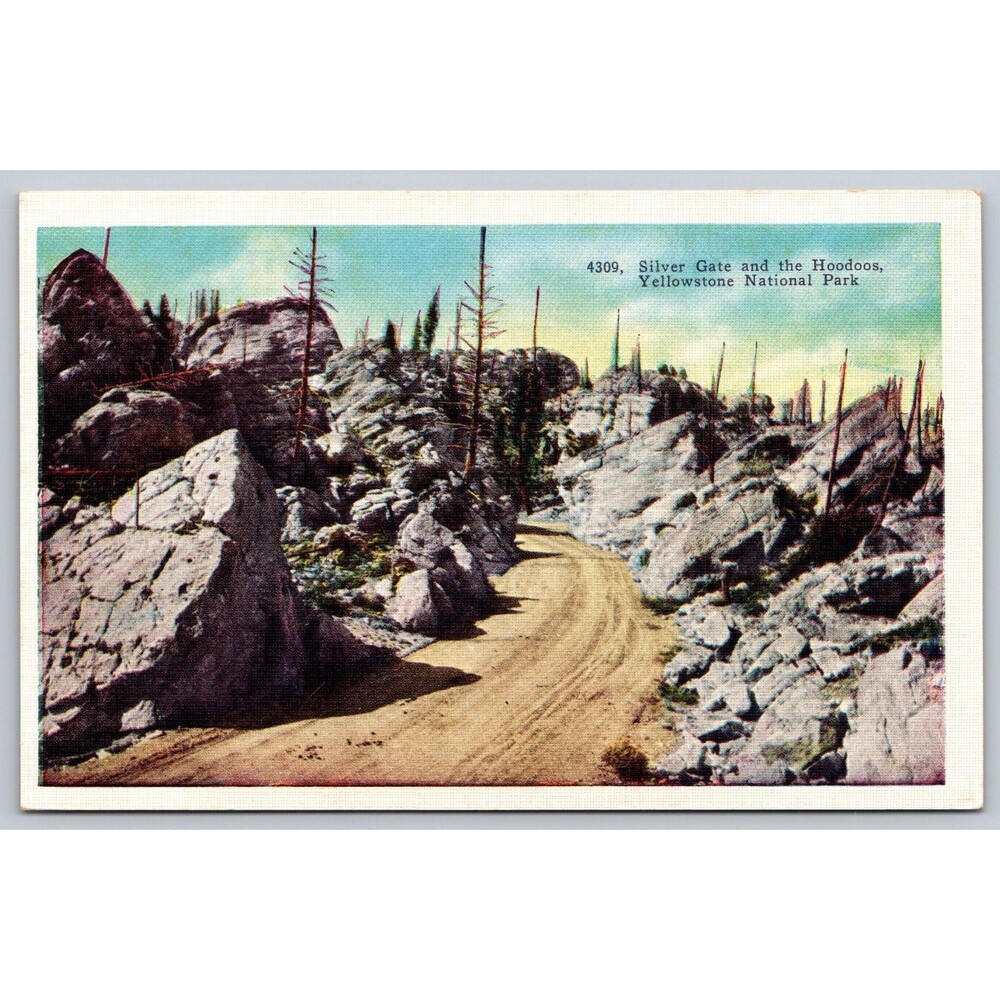 Vintage Yellowstone Linen Postcard Silver Gate and The Hoodoos #4309 Tammen